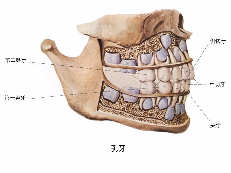 ALt+https://s3.cn-north-1.amazonaws.com.cn/shopeach/Uploads/121/2019-01-30/5c51c237c13ba.jpg