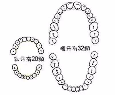 ALt+https://s3.cn-north-1.amazonaws.com.cn/shopeach/Uploads/121/2019-01-30/5c51c3046fb79.jpg