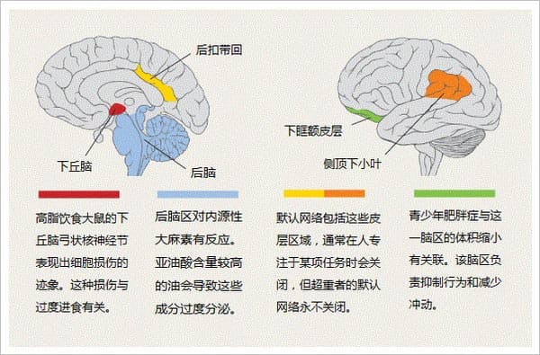 ALt+https://s3.cn-north-1.amazonaws.com.cn/shopeach/Uploads/124/2017-10-15/59e353860f86f.png